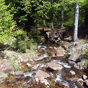 Czarna Góra i Masyw Śnieżnika