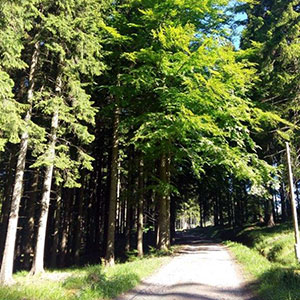 Czarna Góra i Masyw Śnieżnika