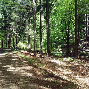 Czarna Góra i Masyw Śnieżnika