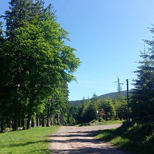 Czarna Góra i Masyw Śnieżnika