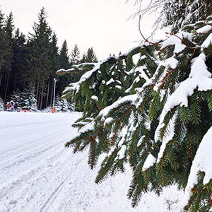 Narciarski weekend - Czarna Góra i Masyw Śnieżnika