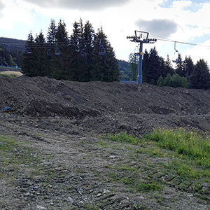 Ogromne zmiany w Siennej