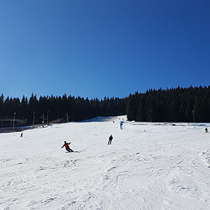 Czarna Góra i Masyw Śnieżnika