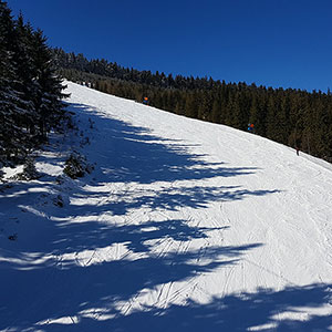 Czarna Góra i Masyw Śnieżnika