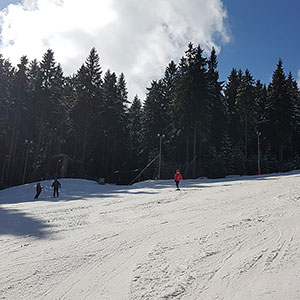 Czarna Góra i Masyw Śnieżnika