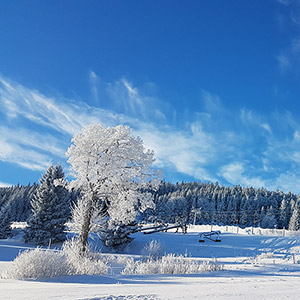 Przed weekendem - Czarna Góra i Masyw Śnieżnika