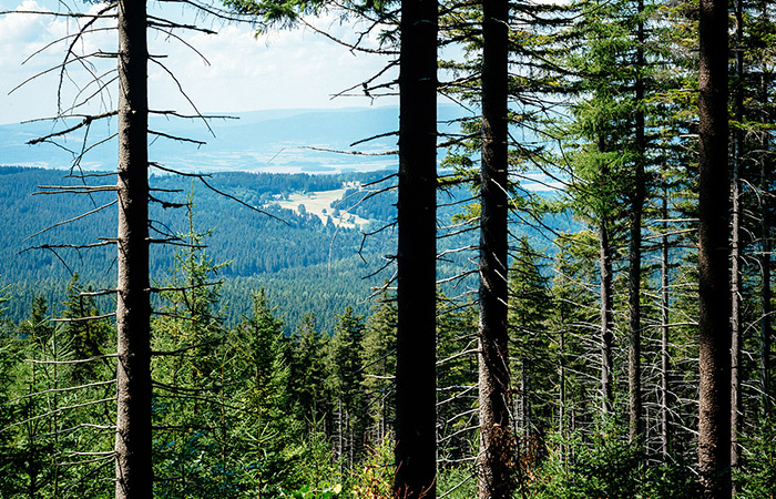 Rozpoczyna się sezon wiosenny