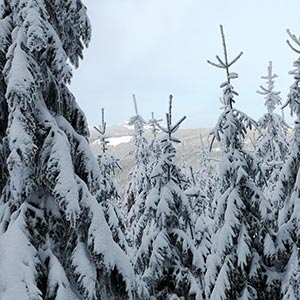 Sezon 2020 - Czarna Góra i Masyw Śnieżnika