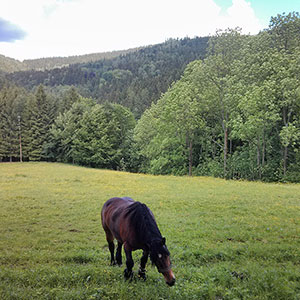 Sezon letni w Masywie Śnieżnika