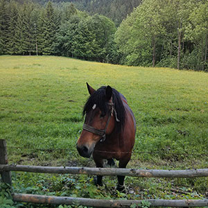 Sezon letni w Masywie Śnieżnika