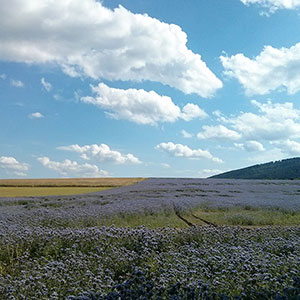 Sezon letni w Masywie Śnieżnika