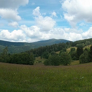 Sezon letni w Masywie Śnieżnika