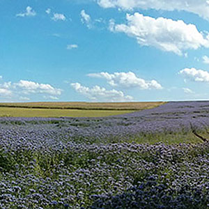 Sezon letni w Masywie Śnieżnika