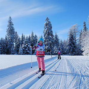 Śniegu przybywa - Narty biegowe - Spalona