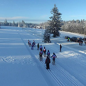 Śniegu przybywa - Narty biegowe - Spalona