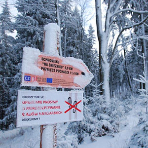 Śniegu przybywa - Narty biegowe - Masyw Śnieżnika