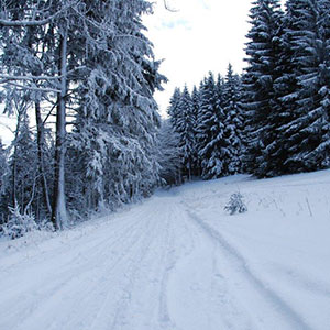 Śniegu przybywa - Narty biegowe - Masyw Śnieżnika