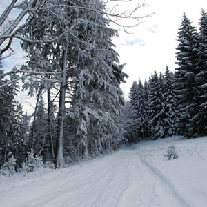 Śniegu przybywa - Narty biegowe - Masyw Śnieżnika