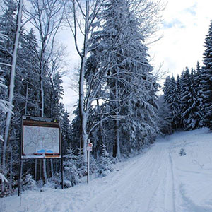 Śniegu przybywa - Narty biegowe - Masyw Śnieżnika
