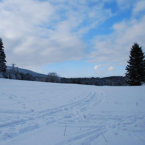 Śniegu przybywa - Narty biegowe - Masyw Śnieżnika