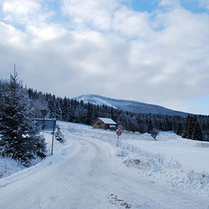 Śniegu przybywa - Narty biegowe - Masyw Śnieżnika