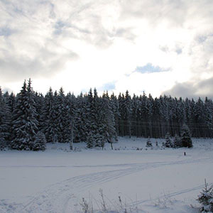 Śniegu przybywa - Narty biegowe - Masyw Śnieżnika