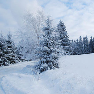 Śniegu przybywa - Narty biegowe - Masyw Śnieżnika