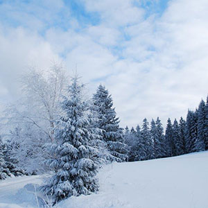 Śniegu przybywa - Narty biegowe - Masyw Śnieżnika