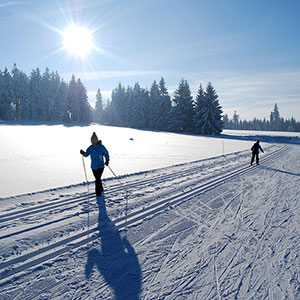Śniegu przybywa - Narty biegowe - Spalona