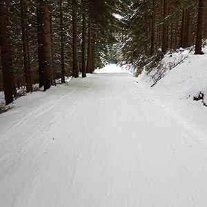 Świąteczny czas - Czarna Góra i Masyw Śnieżnika
