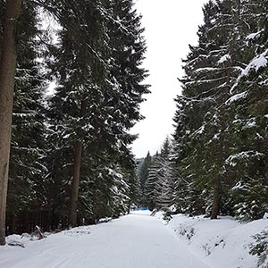 Świąteczny czas - Czarna Góra i Masyw Śnieżnika