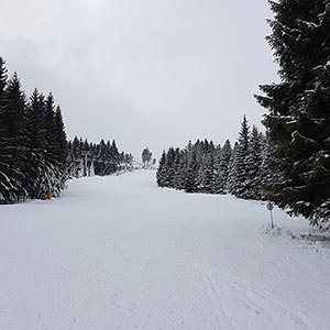 Świąteczny czas - Czarna Góra i Masyw Śnieżnika