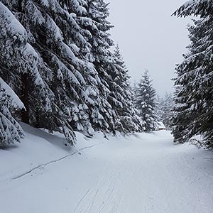 Świąteczny czas - Czarna Góra i Masyw Śnieżnika