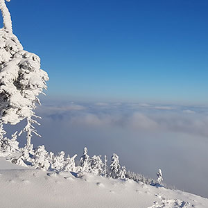 Trwają ferie w Masywie Śnieżnika - Czarna Góra i Masyw Śnieżnika