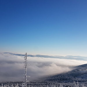 Trwają ferie w Masywie Śnieżnika - Czarna Góra i Masyw Śnieżnika