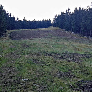 Żegnamy Babcię - Czarna Góra i Masyw Śnieżnika